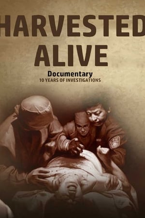 Harvested Alive - 10 Years of Investigations