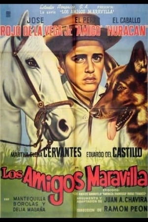 Los amigos Maravilla