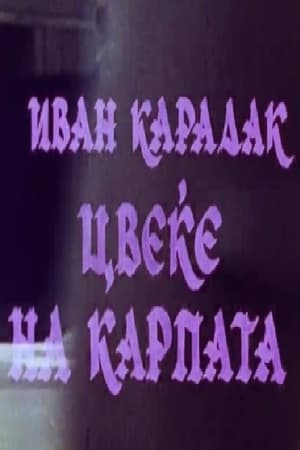 Цвеќе на карпата