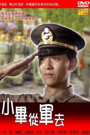 小毕从军去