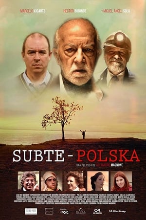 Subte: Polska