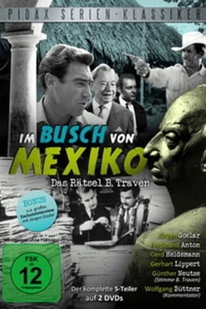 Im Busch von Mexiko