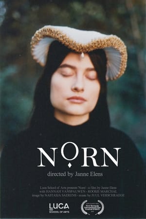 Norn