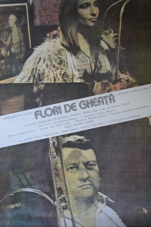 Flori de gheață