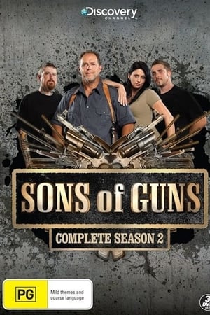 Sons of Guns第2季