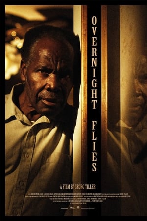 Overnight Flies