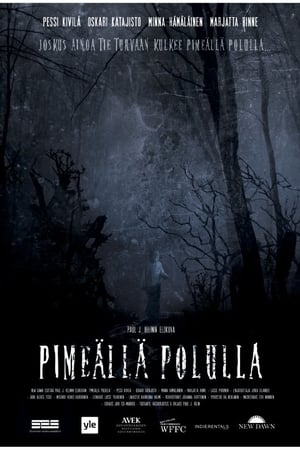 Pimeällä polulla