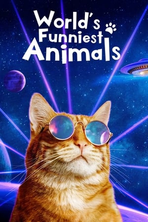 World's Funniest Animals第2季