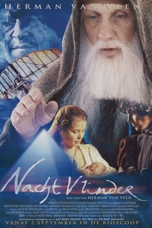 Nachtvlinder
