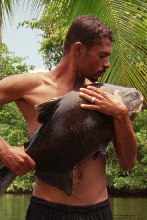 O Peixe
