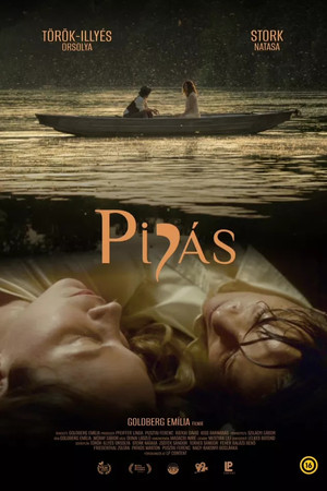 Pipás