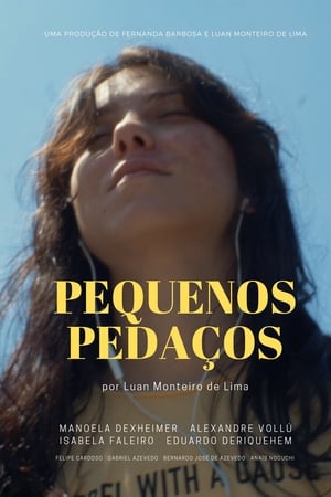 Pequenos Pedaços