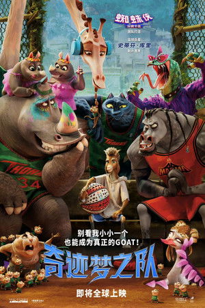 奇迹梦之队