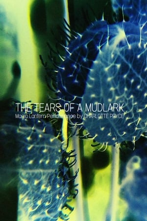 The Tears of a Mudlark