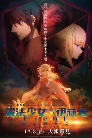 剧场版 Fate/kaleid liner 魔法少女☆伊莉雅 Licht 无名的少女