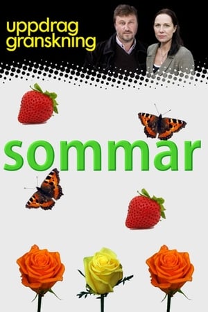 Uppdrag granskning sommar