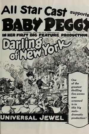The Darling of New York