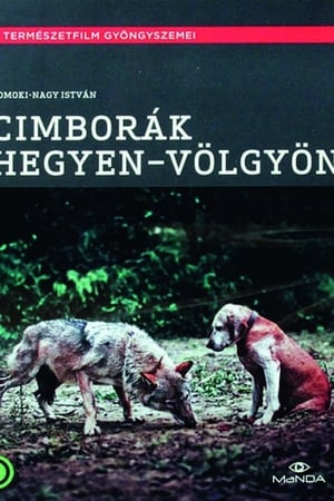 Cimborák - Hegyen-völgyön