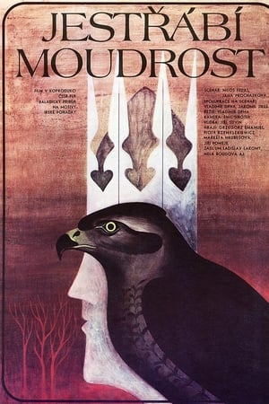 Jestřábí moudrost