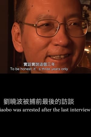劉曉波被捕前最後的訪談