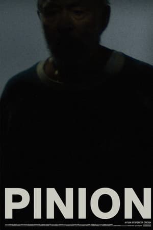 Piñón