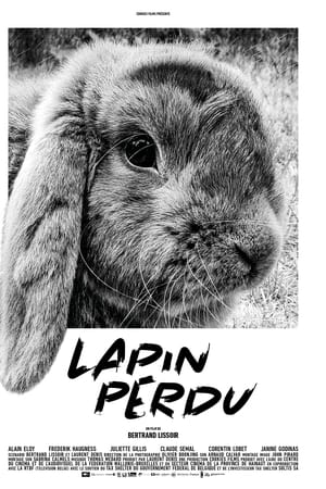 Lapin perdu