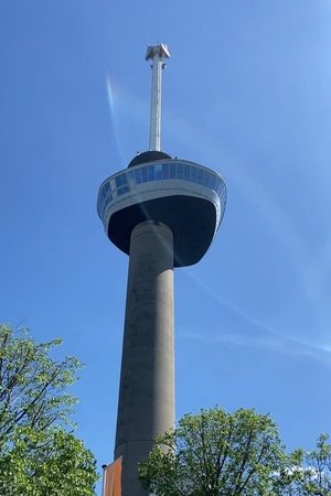 Rotterdam in Beeld