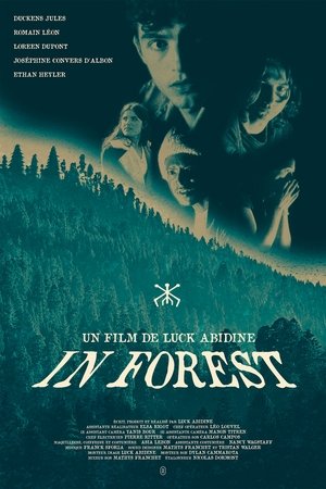 In Forest