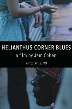 Helianthus Corner Blues