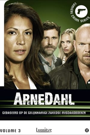 Arne Dahl第2季