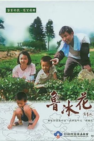 鲁冰花