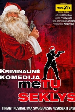 Metų seklys