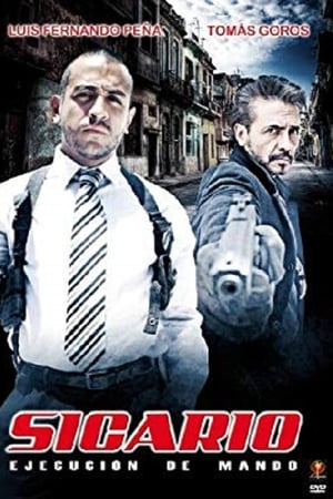Sicario: ejecución de mando