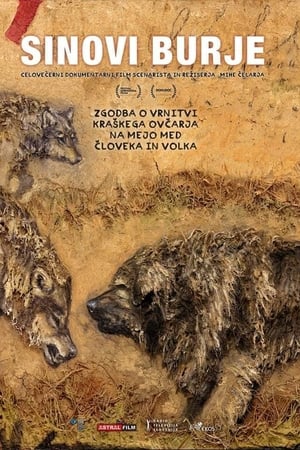 Sinovi burje