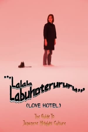 ...LOVEHOTEL… ~The Guide to Japanese Midnight Culture~