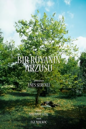 Bir Rüyanın Arzusu