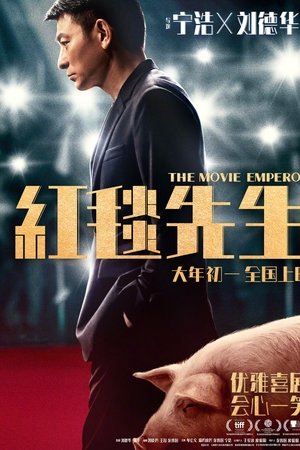 红毯先生