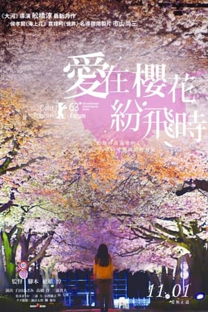 盛开的樱花树下