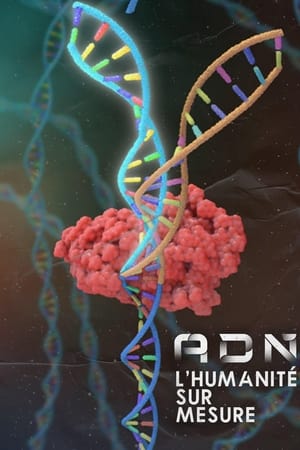 ADN : l'humanité sur mesure