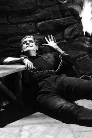 Discovering Horror on Film