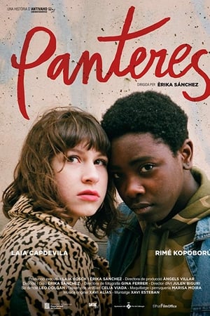 Panteres