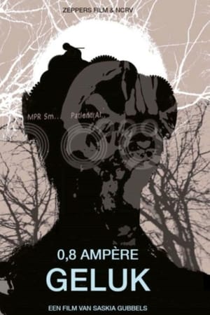 0,8 Ampère Geluk