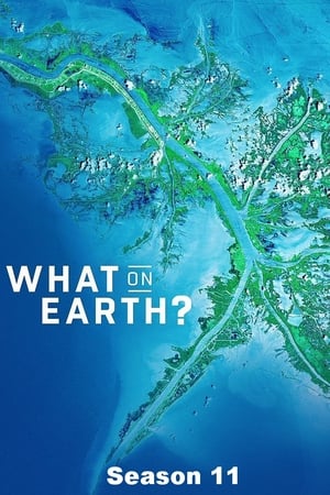 卫星看地球第11季