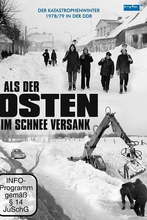 Als der Osten im Schnee versank