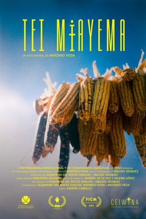 Tei Mɨayema