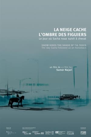La neige cache l'ombre des figuiers