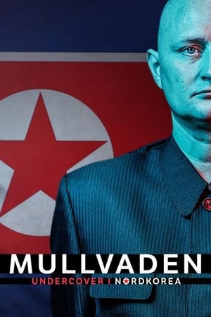 Muldvarpen - Undercover i Nordkorea