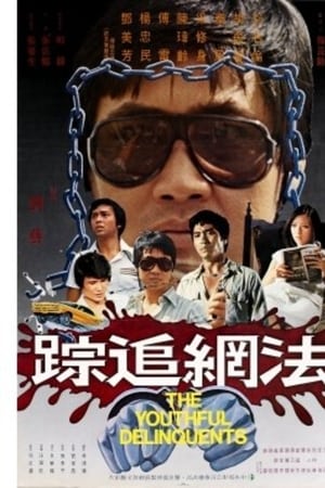 法網追踪