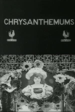 Les chrysanthèmes