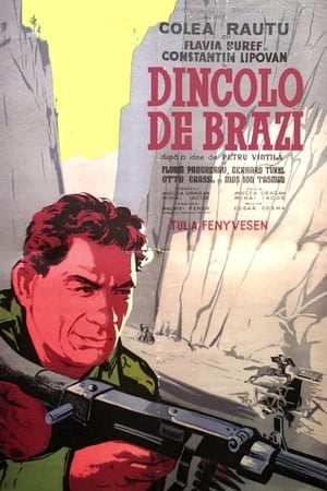 Dincolo de brazi
